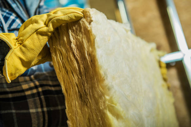 Best Home Insulation Services  in Jasper, IN